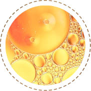 Omega Fatty Acids